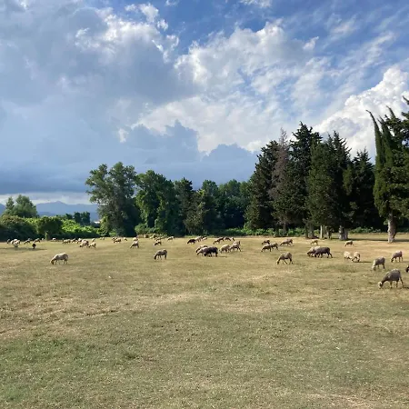 Semesterbostad Maison Pieds Dans L Eau Avec Piscine Et Clim *