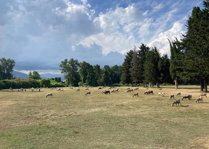 Casa vacanze Maison Pieds Dans L Eau Avec Piscine Et Clim *